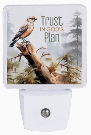 Trust in God's Plan Nightlight