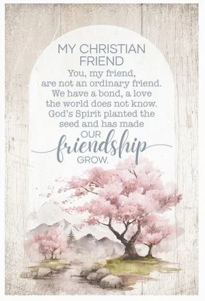 My Christian Friend - Mini Blessings 4X6