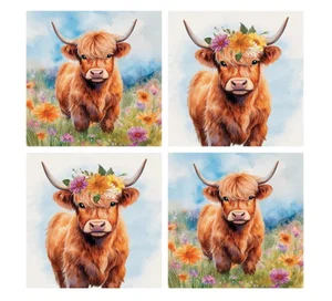 Coaster 4" Sq Highland Cow Set