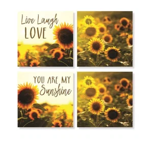 Coaster 4" Sunshine Set