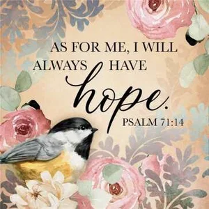 Coaster 4" Sq. Have Hope