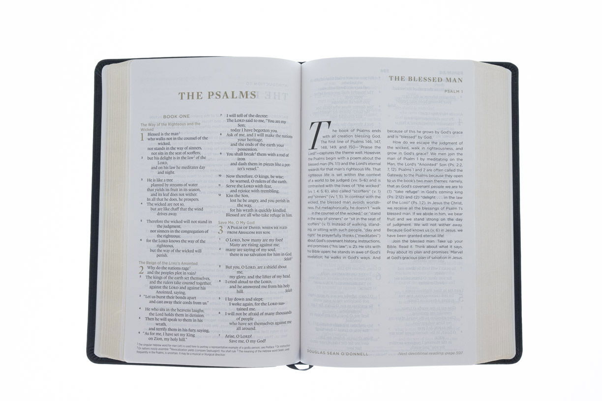 126-0097 Product Image 5