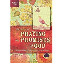 One Year Praying the Promises of God