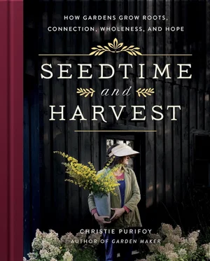 Seedtime and Harvest: How Gardens Grow Roots, Connection,