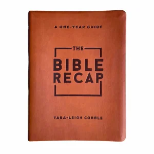 The Bible Recap: Deluxe Edition Brown Imitation Leather