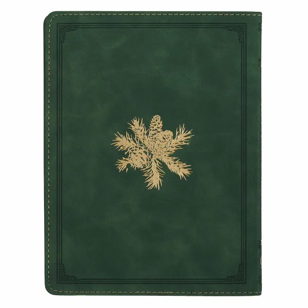 126-1133 Product Image 2