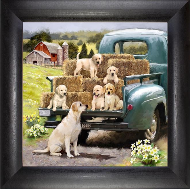 128-0275 Product Image 1