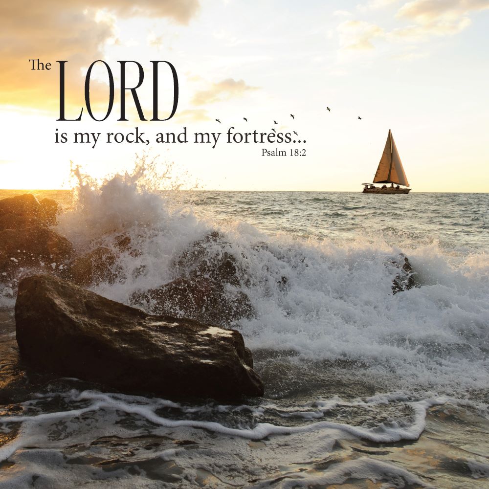 128-1249 Product Image 1