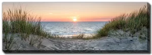 Canvas - Dune Beach 20x60