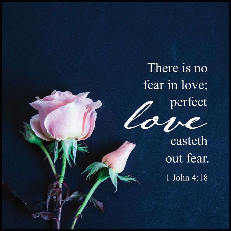 128-1385 Product Image 1