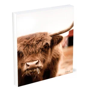 Shelfie Sitter Hungry Highland II 4x5