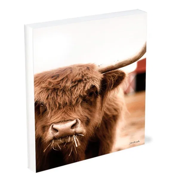 128-1595 Product Image 1