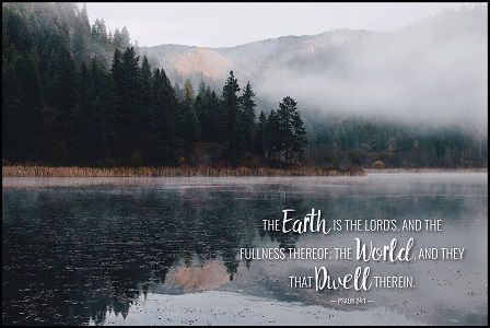 128-2161 Product Image 1