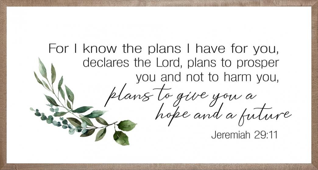 Farmhouse Brown Plans I have for You 16x30