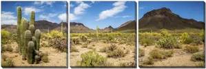 Canvas Arizona Desert 20"x20" x3