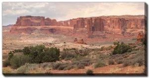 Dusty Desert 20"x40"