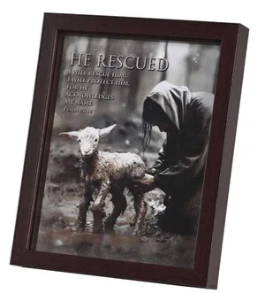 Framed Art He Rescued 8x10
