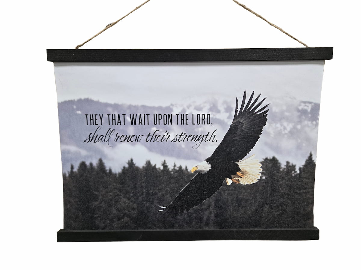 Soaring High Hanging Canvas 18"x12"