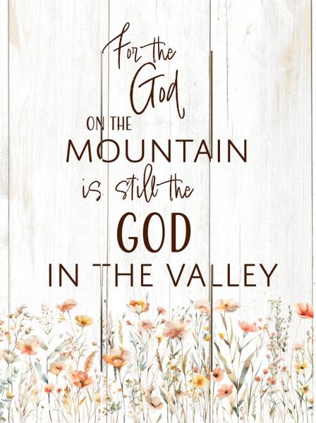 128-2836 Product Image 1