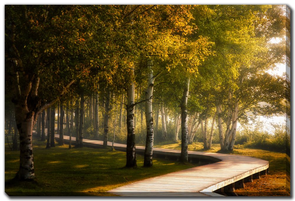 128-2880 Product Image 1