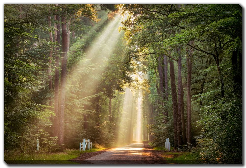 128-2900 Product Image 1