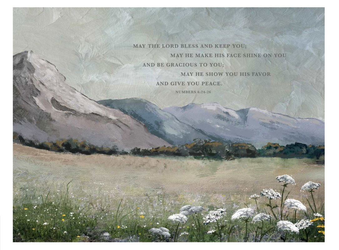 128-2914 Product Image 1