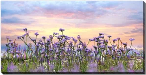 Wildflowers at Sunset Canvas 20"x40"