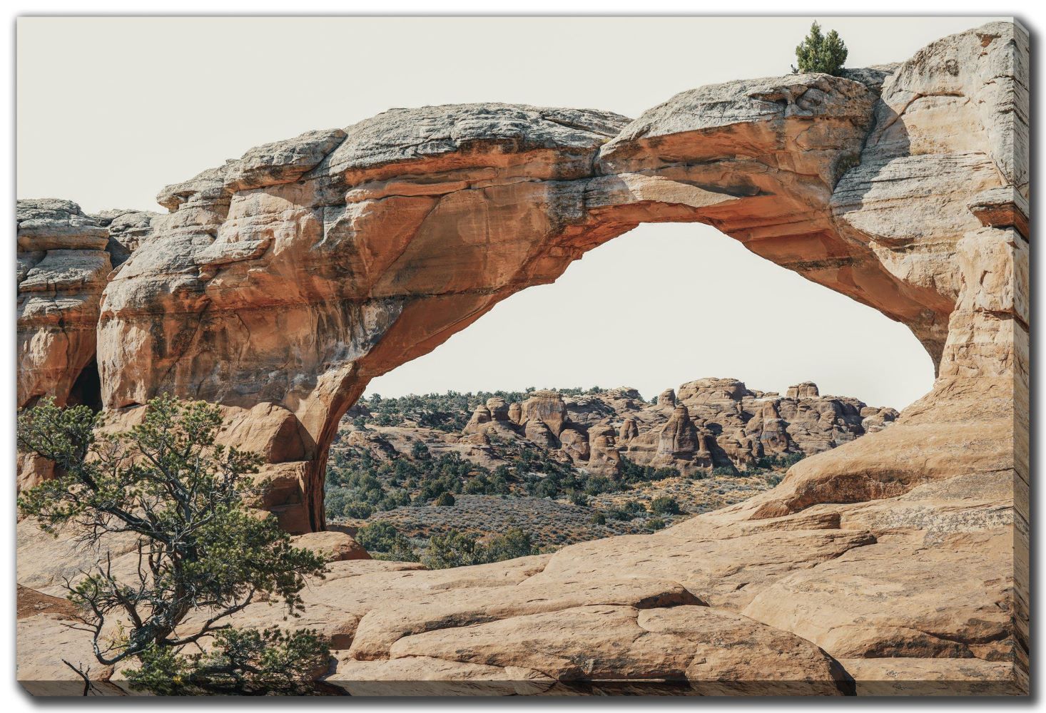 Image of View to the West 22 ‘x 28’