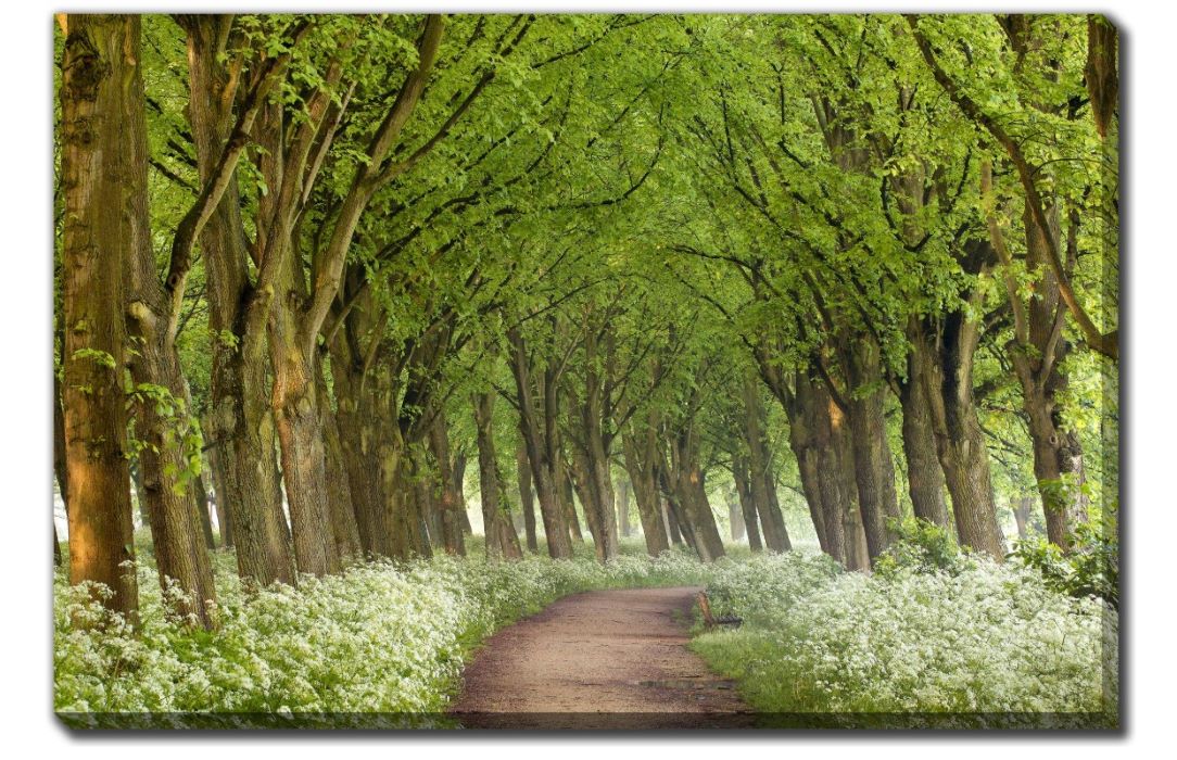 128-2994 Product Image 1