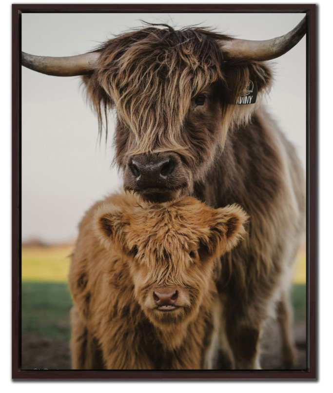 128-2997 Product Image 1