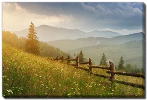 Canvas Carpathian Mountain Forest 30"x45"