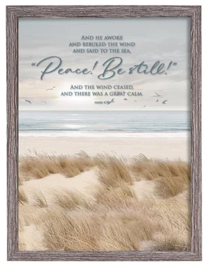 Framed Wall Art Peace Be Still Mark 4:39 - 16"x20"