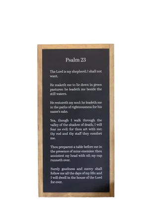 Psalm 23 | Wall Art | Black-White Text / Light Brown Frame 12"x24"