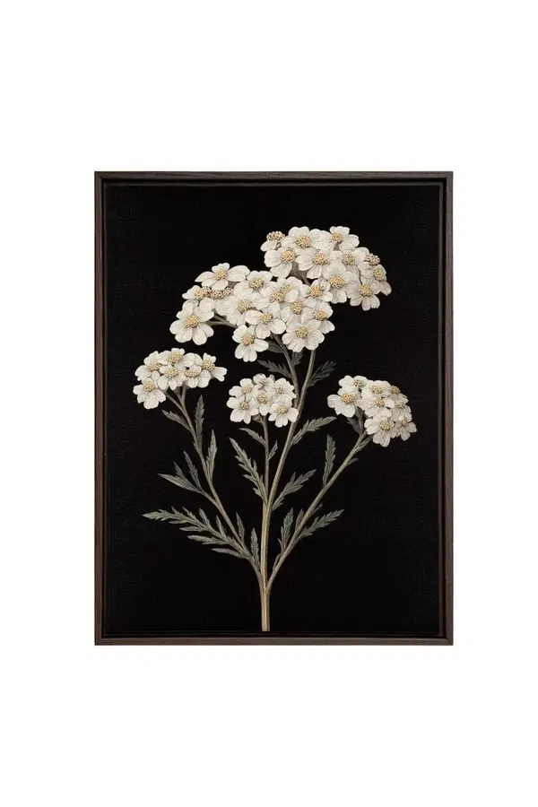 128-3699 Product Image 1