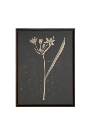 Minimal Flora Canvas Frame Walnut Brown 12"x16"