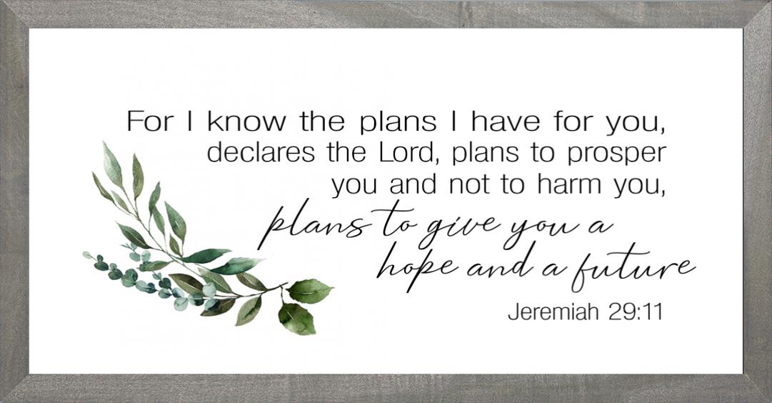 Farmhouse Grey Plans I have for You 8x16