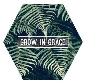 Magnet Grow in Grace