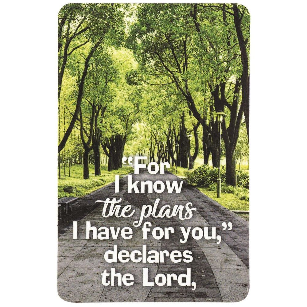 132-0243 Product Image 1