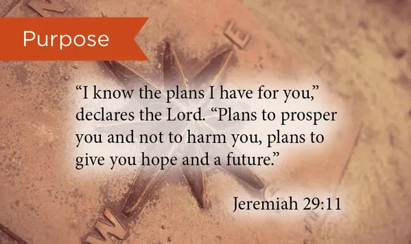 132-0849 Product Image 1