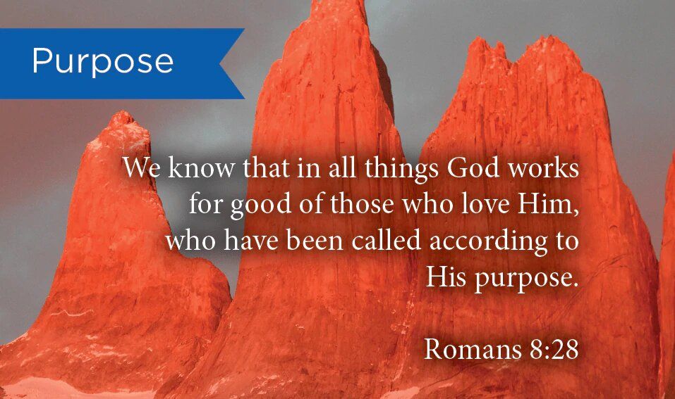 Product 132-0859 - View 1 132-0859 Product Image 1