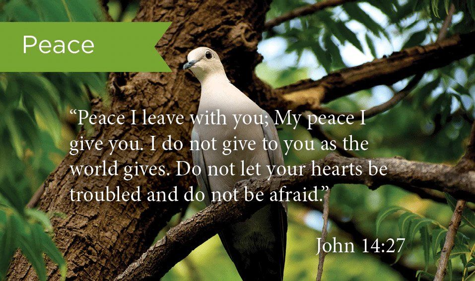 132-0865 Product Image 1