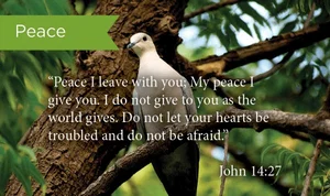 Peace 2 Cor. 12: Pass Along Cards