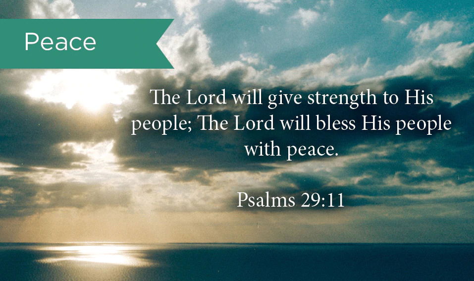 132-0876 Product Image 1