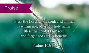 Praise: Psalm 103:1-2 Pass Along Cards