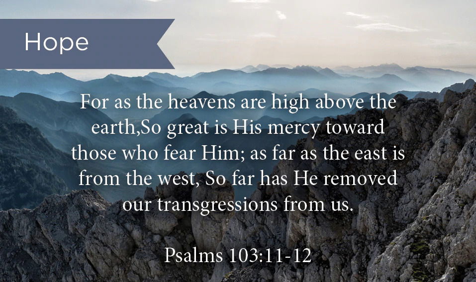 132-0882 Product Image 1