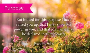 Purpose: Pass Along Cards