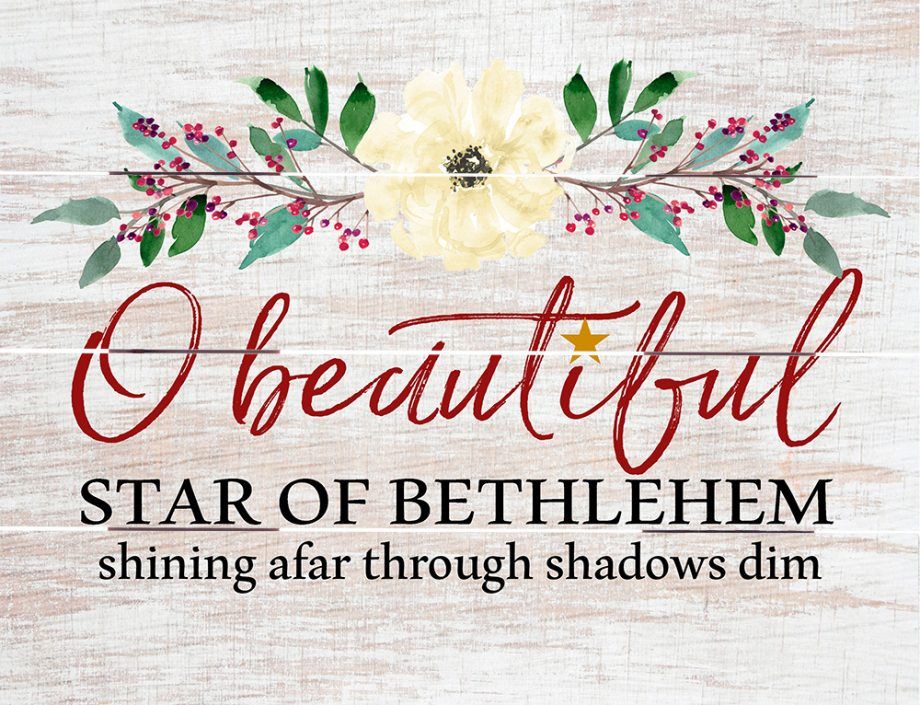 132-8088 Product Image 1