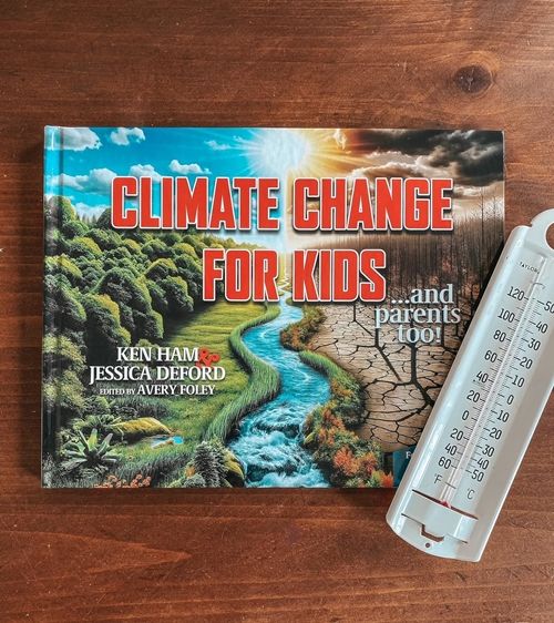 163-0013 Product Image 4