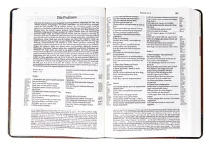 Die Bibel Schlachter Version 2000 -#255.033