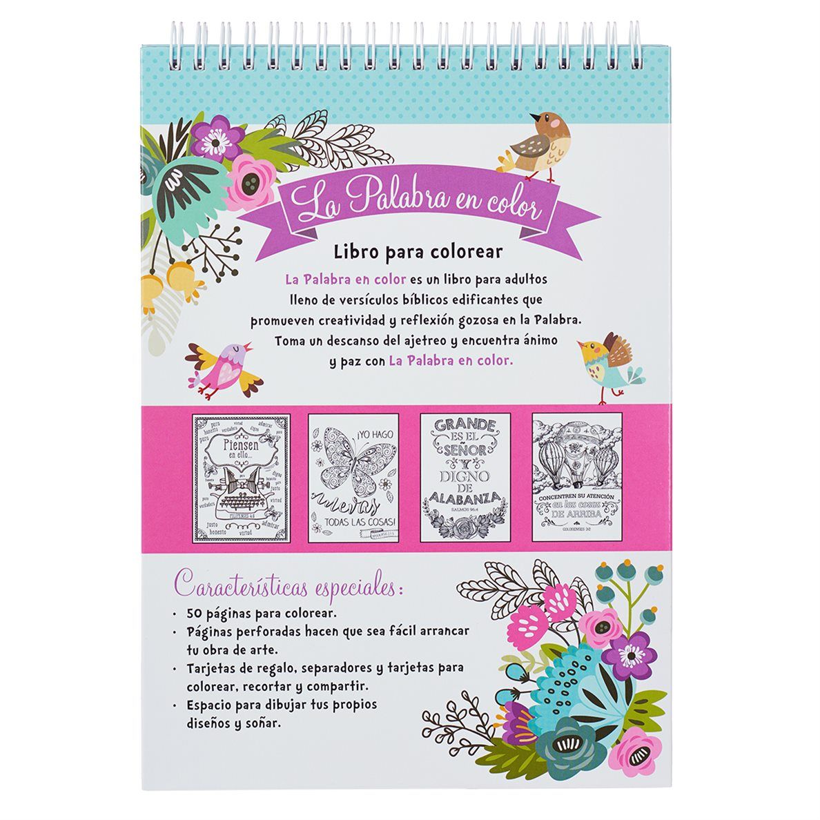 180-1097 Product Image 2